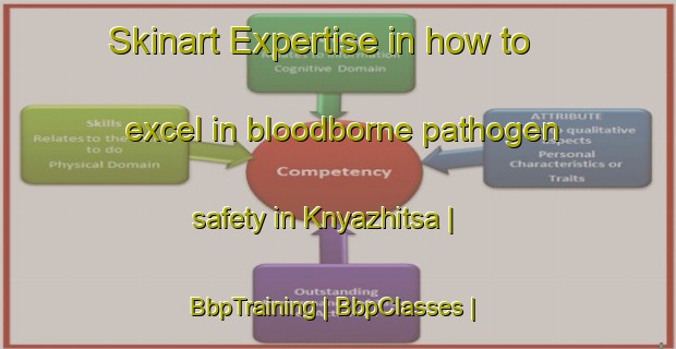 Skinart Expertise in how to excel in bloodborne pathogen safety in Knyazhitsa | BbpTraining | BbpClasses | SkinartTraining-Belarus
